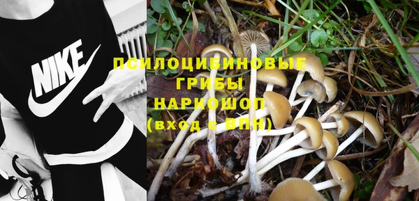 амф Горняк