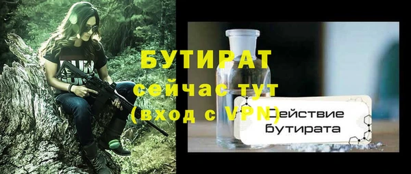 амф Горняк