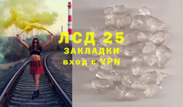 ПСИЛОЦИБИНОВЫЕ ГРИБЫ Горнозаводск