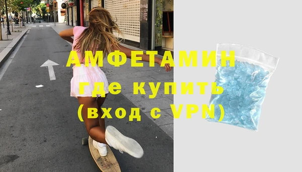 амф Горняк