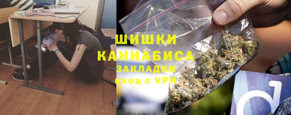 ПСИЛОЦИБИНОВЫЕ ГРИБЫ Горнозаводск