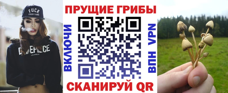Галлюциногенные грибы ЛСД  Мценск 
