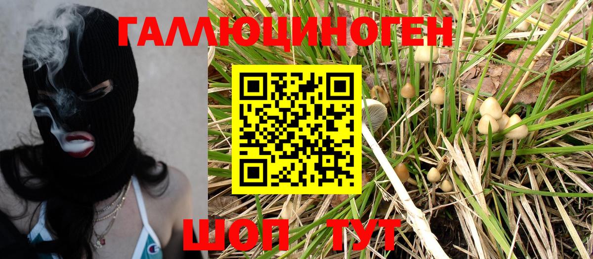 Галлюциногенные грибы MAGIC MUSHROOMS Мценск