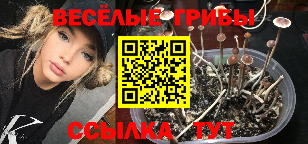 Мценск  Галлюциногенные грибы Magic Shrooms  Вход с VPN 